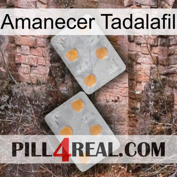 Sunrise Tadalafil 25.jpg